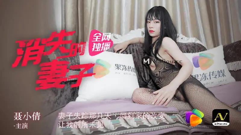 消失的妻子 HD