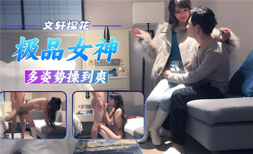 YDF-400 文轩探花.极品女神多姿势操到爽