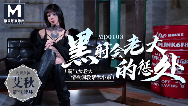 SAWQ-863 黑社会女老大的惩处-艾秋MD0103