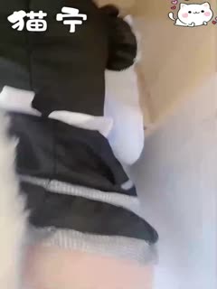 GOYX-257 猫宁神仙颜值小仙女小姐姐黑丝猫猫女仆啪啪